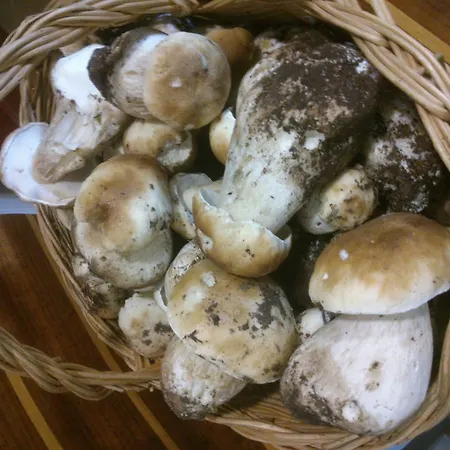 Granja Escuela Parque de vacaciones Arlanzón