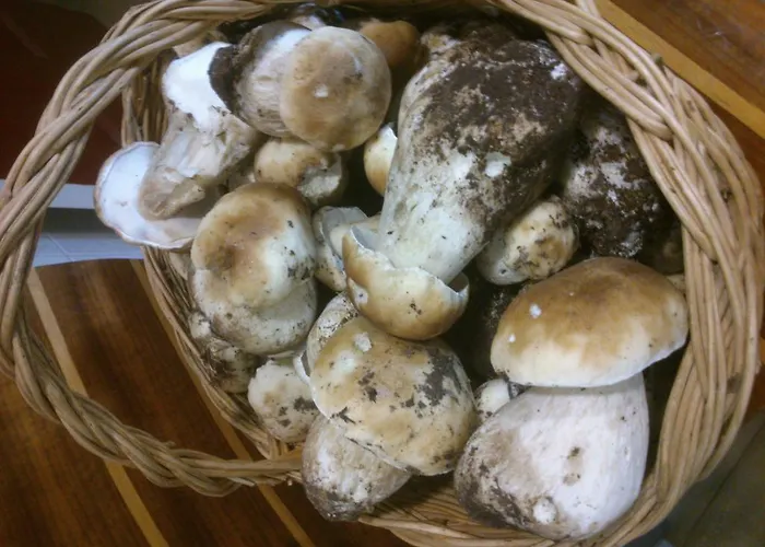 Granja Escuela 홀리데이파크 Arlanzón