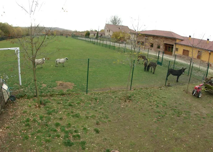 홀리데이파크 Granja Escuela *