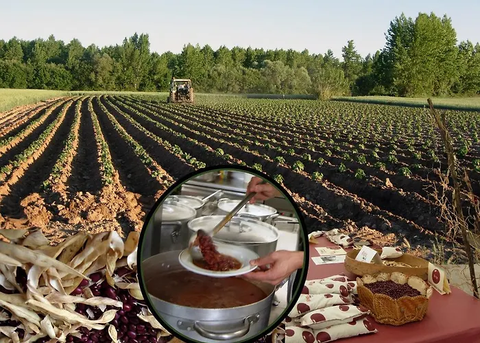 Granja Escuela 홀리데이파크